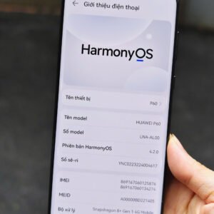 1787540148989_7341252183087345209_g8964929942145236913_e1703e456c277ebe948d8ced21d7122b
